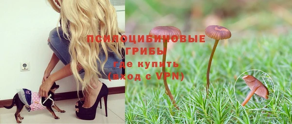 бутират Баксан